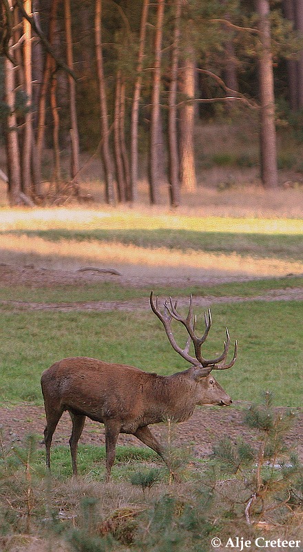 werelddierendag 200916.JPG