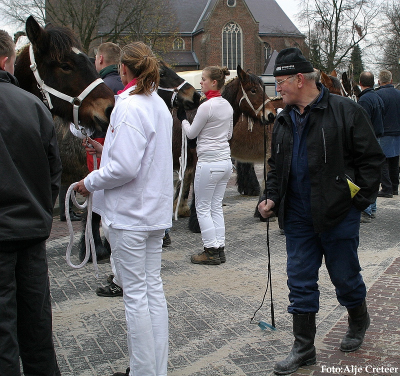 Gerwen veulenkeuring22.JPG