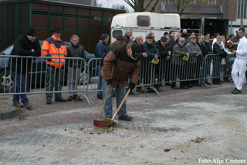 Gerwen veulenkeuring32.JPG