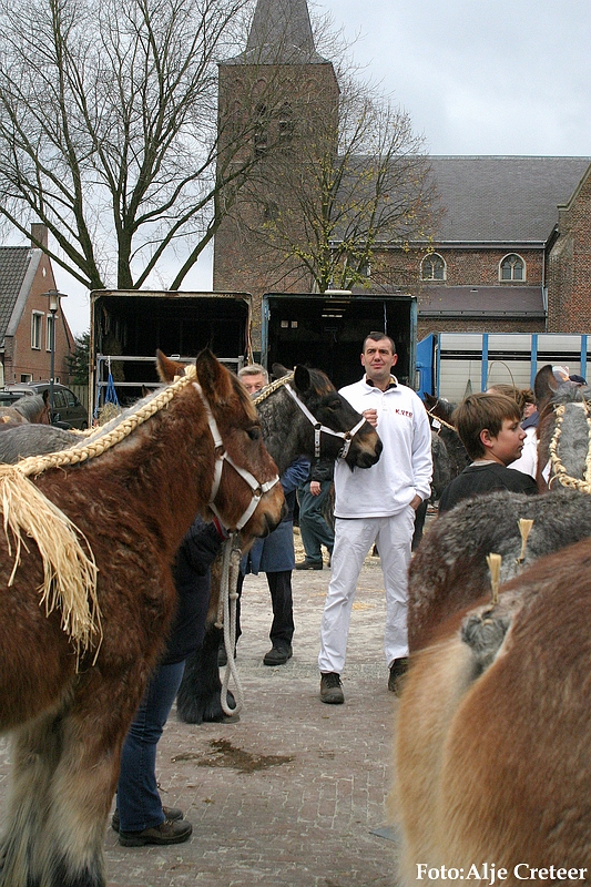 Gerwen veulenkeuring51.JPG