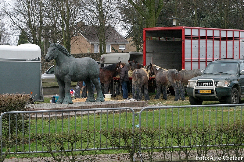 Gerwen veulenkeuring52.JPG