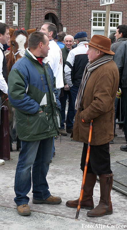 Gerwen veulenkeuring67.JPG