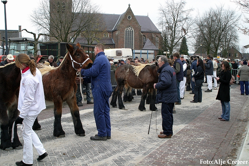 Gerwen veulenkeuring78.JPG