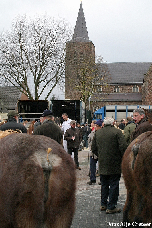 Gerwen veulenkeuring88.JPG