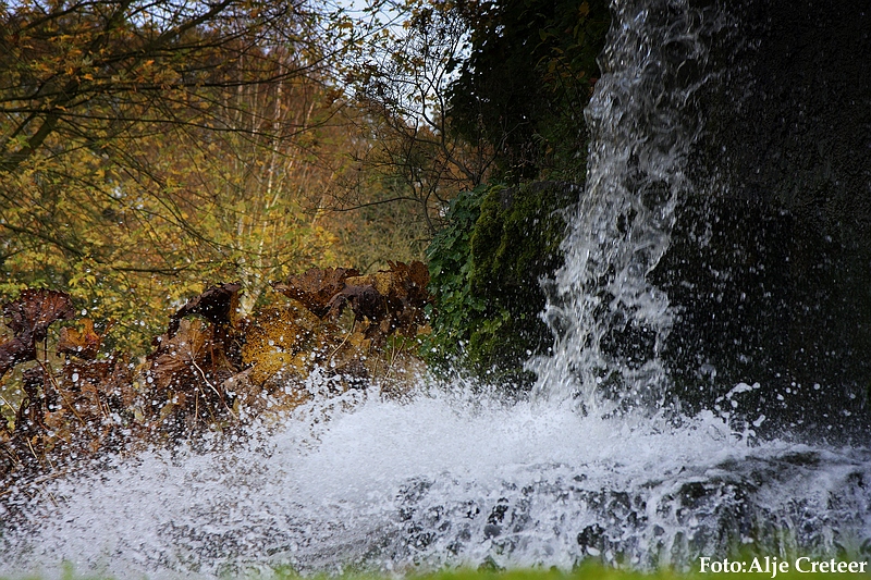 Herfst 2009.1.JPG