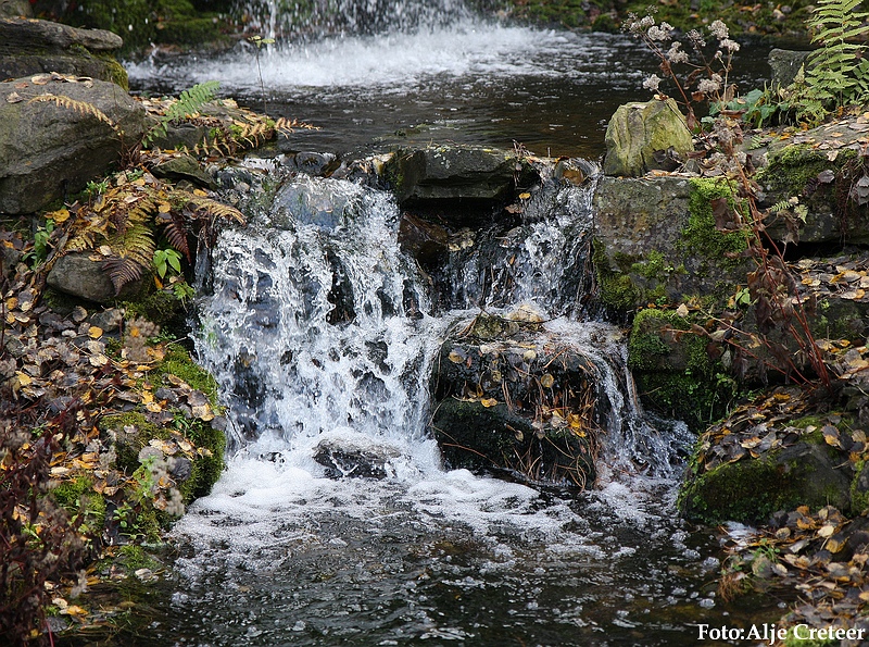 Herfst 2009.3.JPG