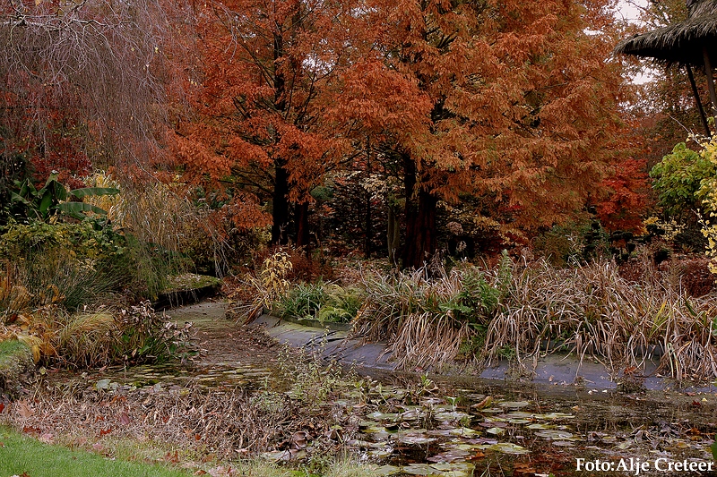 Herfst 2009.40.JPG