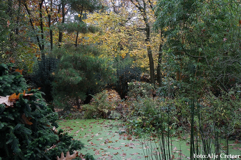 Herfst 2009.43.JPG