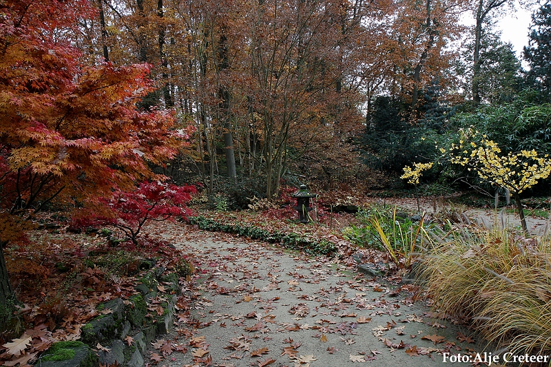 Herfst 2009.54.JPG