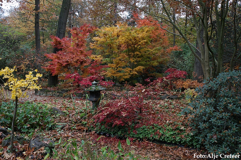 Herfst 2009.62.JPG