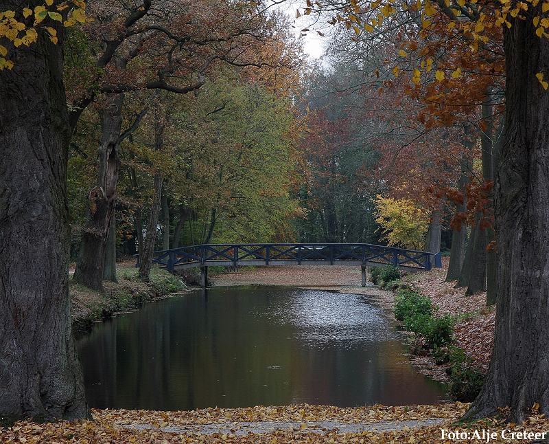 Herfst 2009.63.JPG