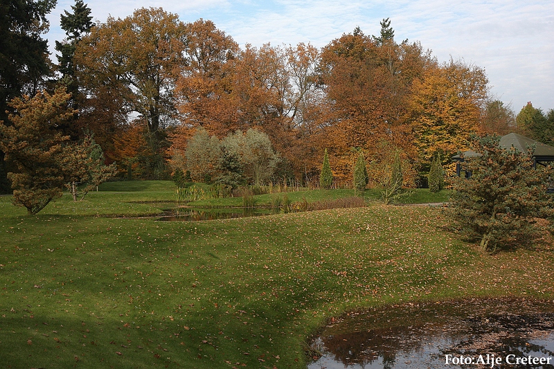 Herfst 2009.75.JPG