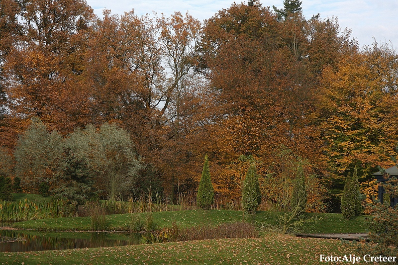 Herfst 2009.76.JPG