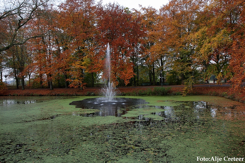 Herfst 2009.8.JPG