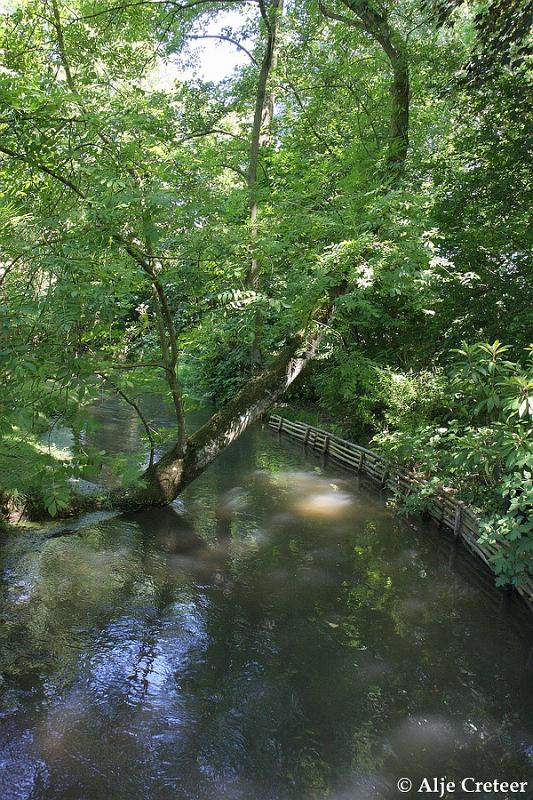 Jardins de Claude Monet22.JPG