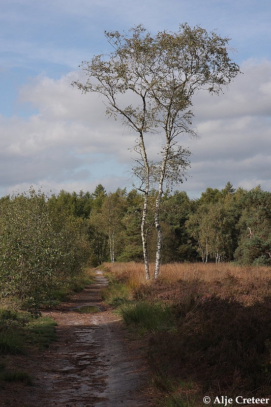 zomaar een herfstdag24.JPG