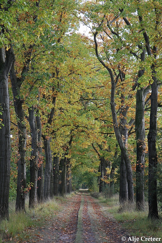 zomaar een herfstdag28.JPG