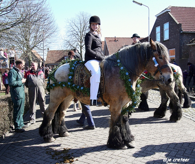 dagje zeeland020.JPG