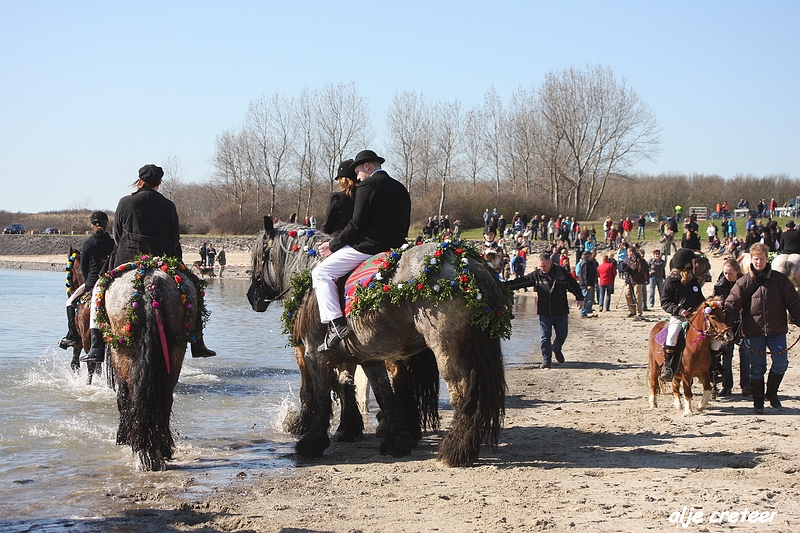 dagje zeeland037.JPG