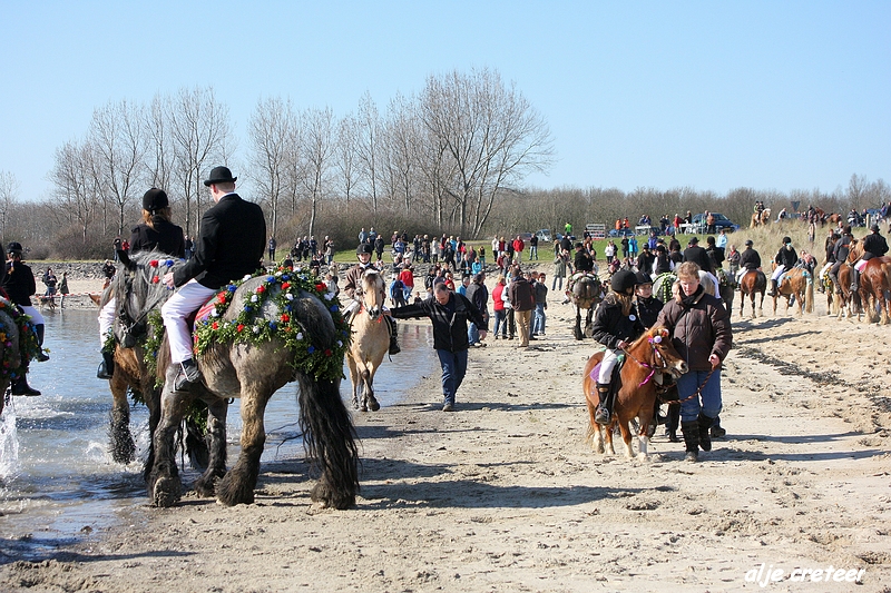 dagje zeeland038.JPG