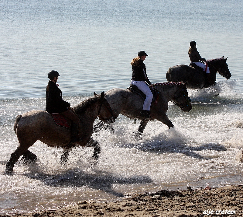 dagje zeeland041.JPG