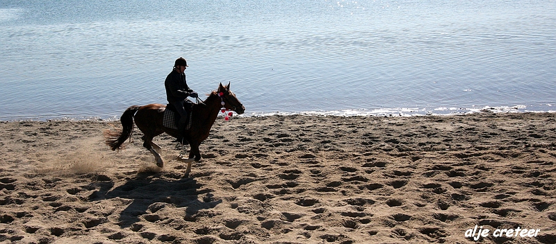 dagje zeeland058.JPG