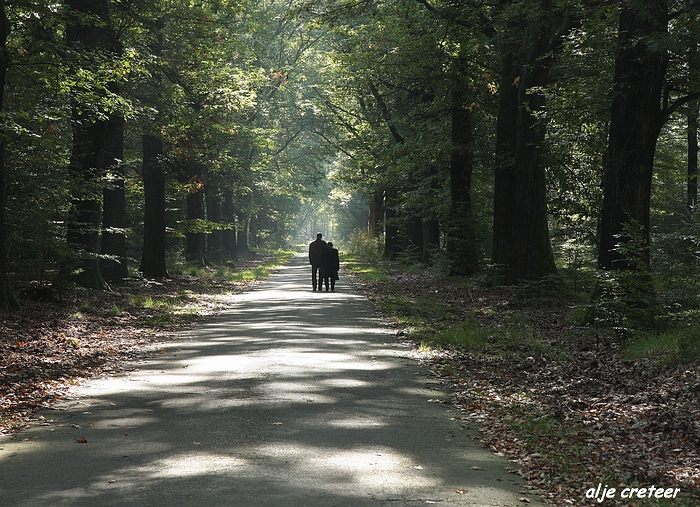 Een dag met een gouden randje2.JPG