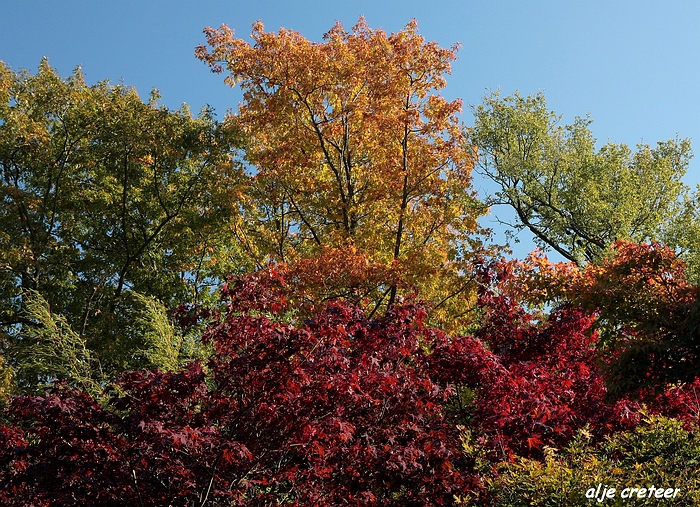 Herfst Arcen 2011 06-1.JPG