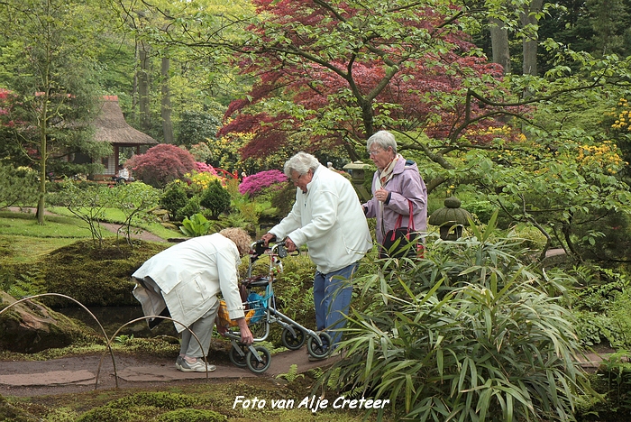 Japanse Tuin18.JPG