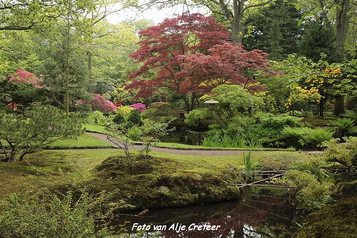 Japanse Tuin20.JPG