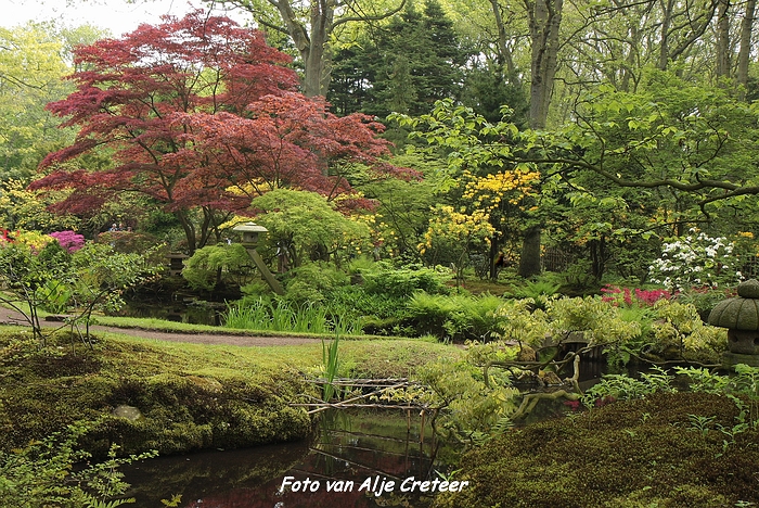 Japanse Tuin22.JPG