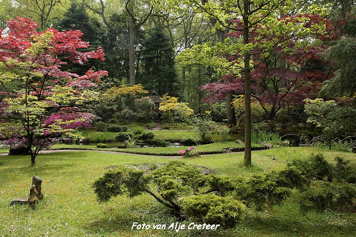 Japanse Tuin30.JPG