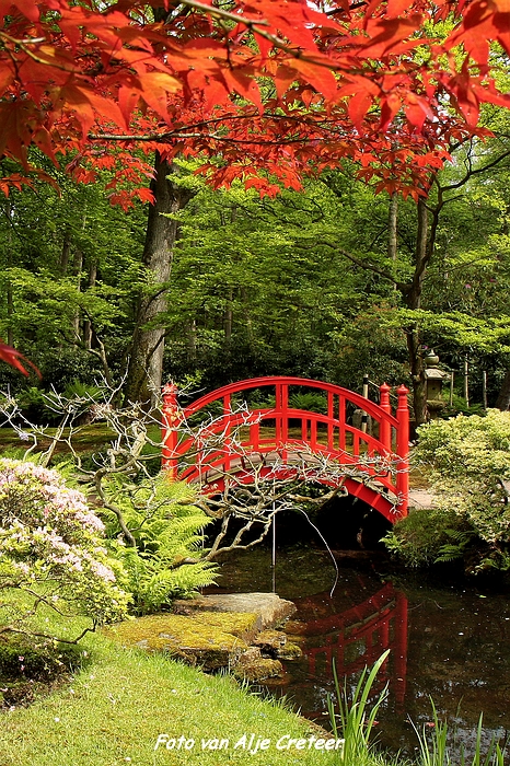 Japanse Tuin39.JPG