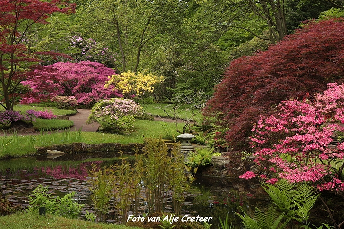 Japanse Tuin54.JPG