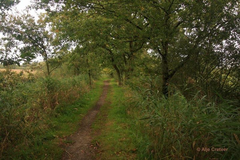 Herfstplaatjes 14.jpg - De herfst is begonnen