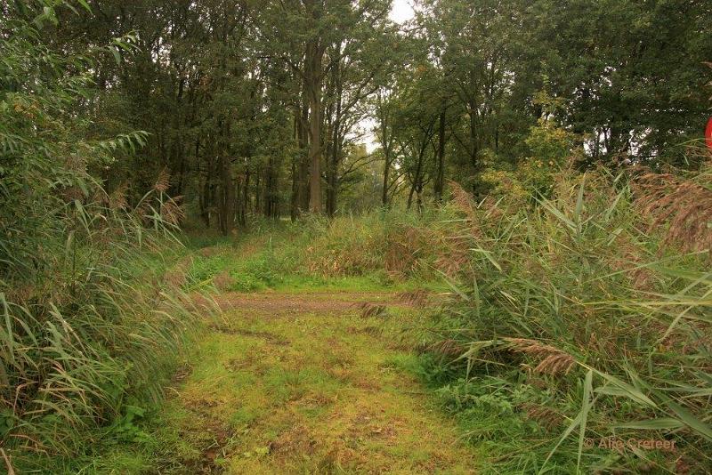 Herfstplaatjes 17.jpg - De herfst is begonnen