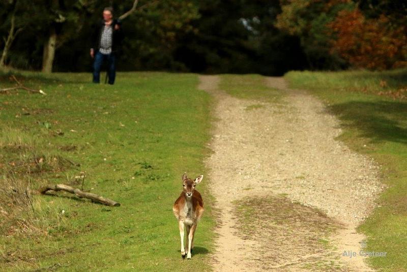 AWD  13 Oktober 2017  07.jpg - AWD 2017