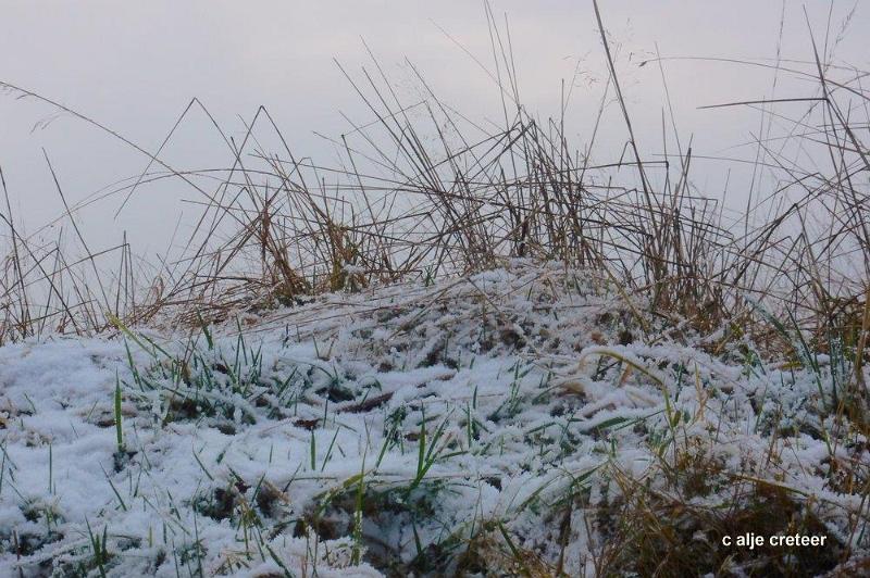 Wandeling 15 Januari 2017  73.jpg - Snertwandeling 2017