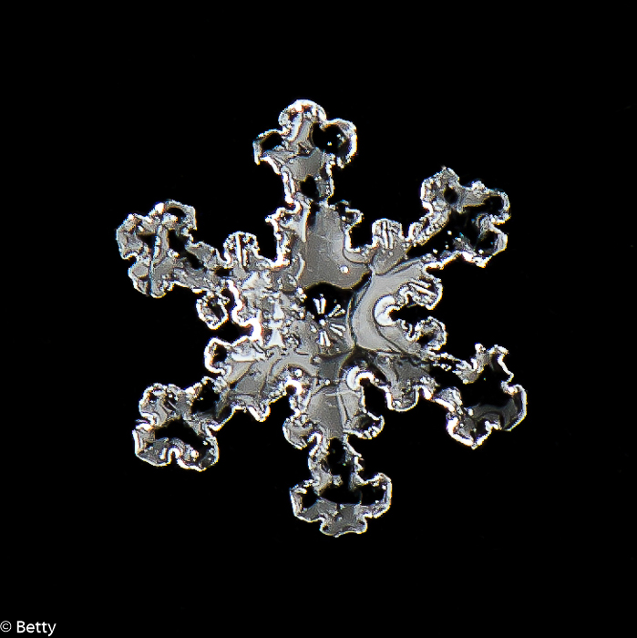 sneeuwkristal (4 van 7).jpg - Sneeuwkristallen