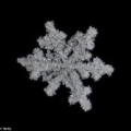 sneeuwkristal (1 van 7)