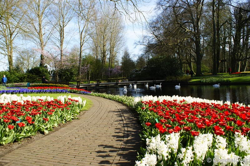 _DSC0097.JPG - Keukenhof