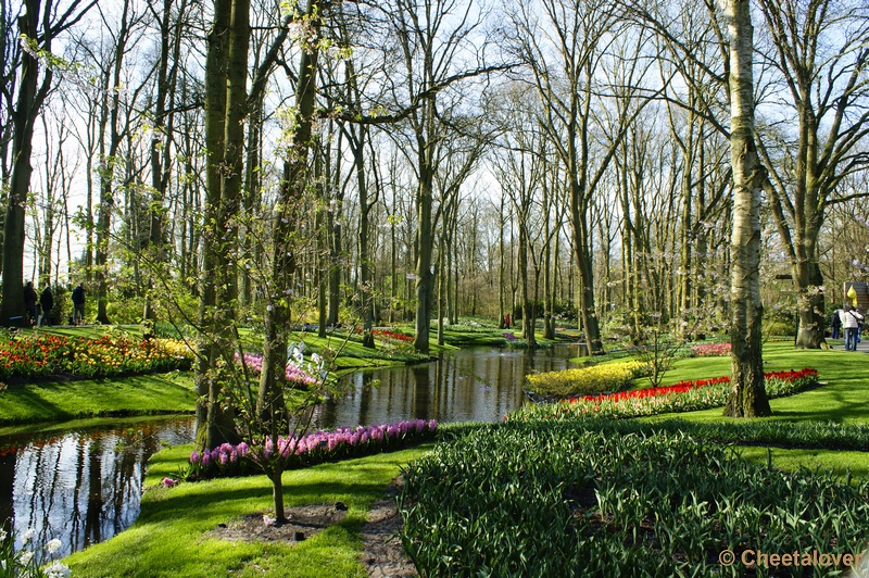 _DSC0130.JPG - Keukenhof