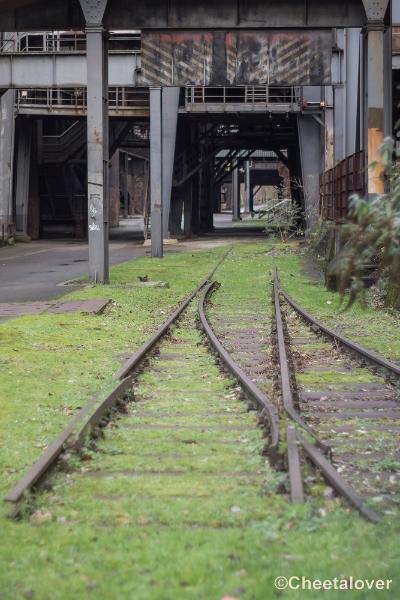 _DSC0108.JPG - Landschaftpark Duisburg