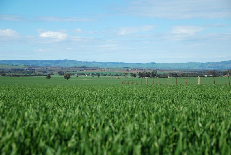 marieke2.jpg - Mariek reisfotografie landschap