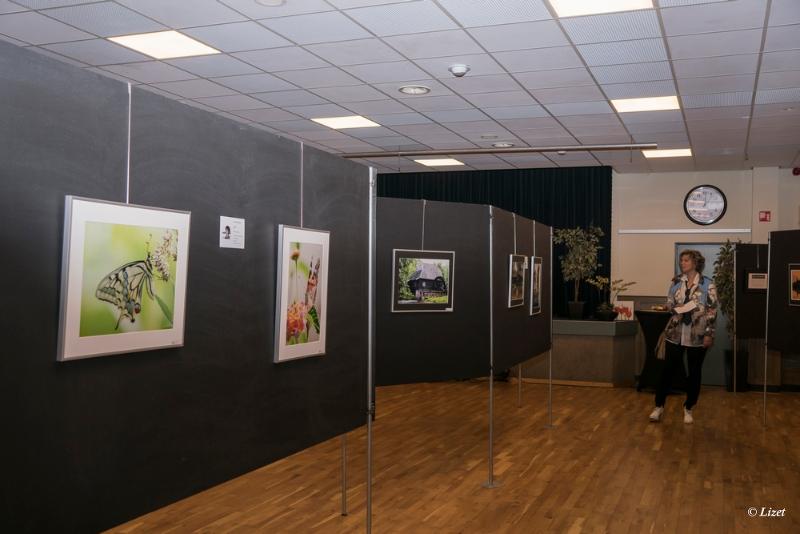 bdDSC00033.JPG - Expositie 2019