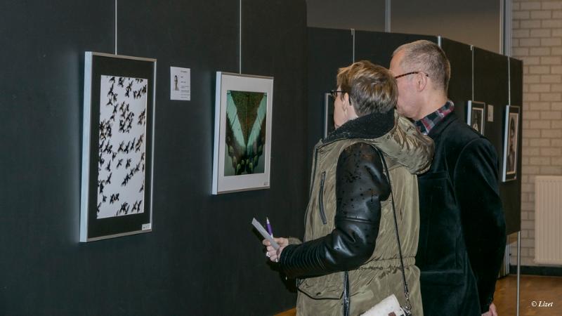 bdDSC00068.JPG - Expositie 2019