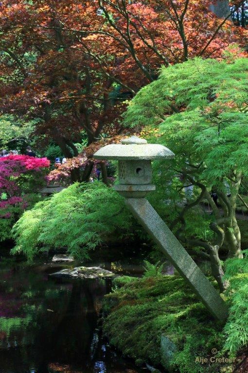 Japanse tuin 22.jpg - Japanse tuin Den Haag
