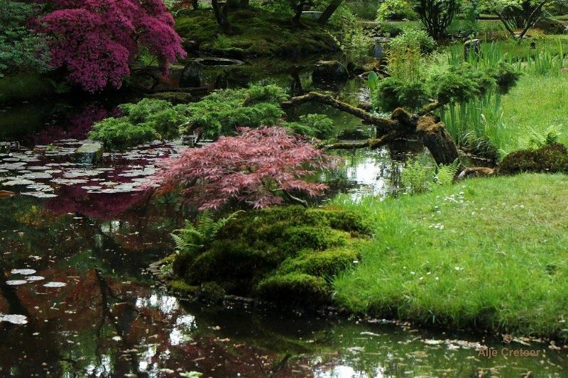 Japanse tuin 75.jpg - Japanse tuin Den Haag
