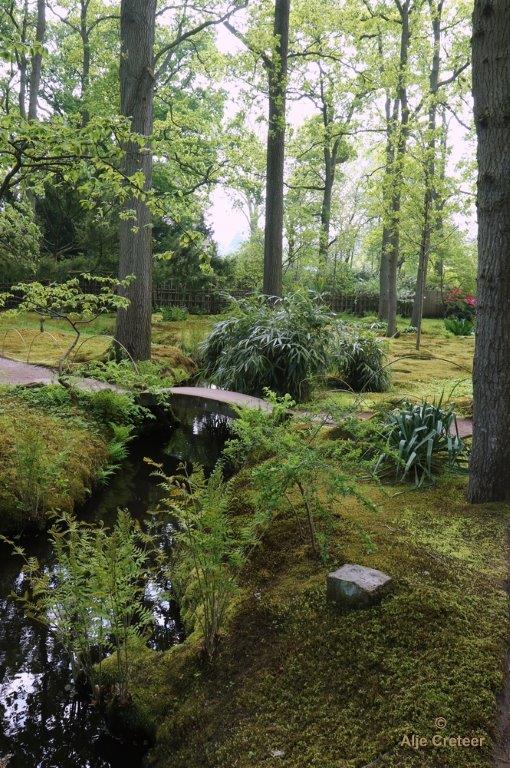 Japanse tuin 77.jpg - Japanse tuin Den Haag