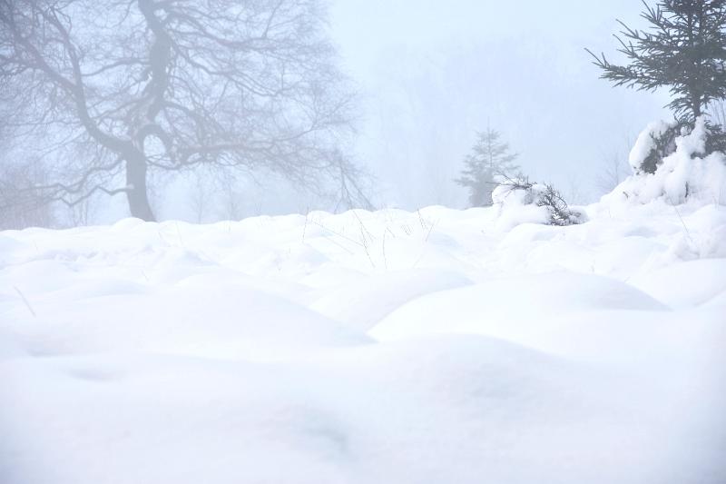 10.jpg - Rondje door de sneeuw